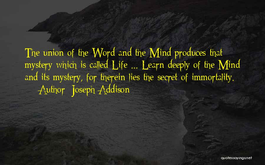 Mystery And Life Quotes By Joseph Addison