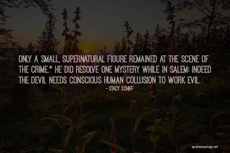 Mystery And Supernatural Quotes By Stacy Schiff Mystery And Supernatural Quotes By Stacy Schiff