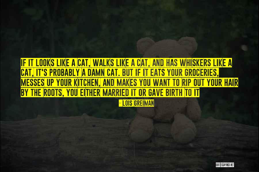 Mystery Funny Quotes By Lois Greiman