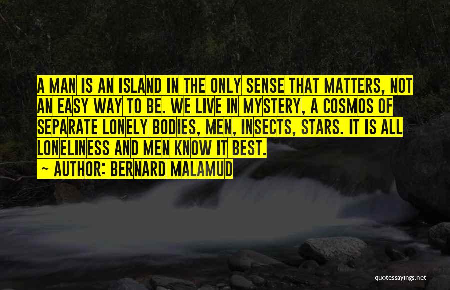 Mystery Man Quotes By Bernard Malamud