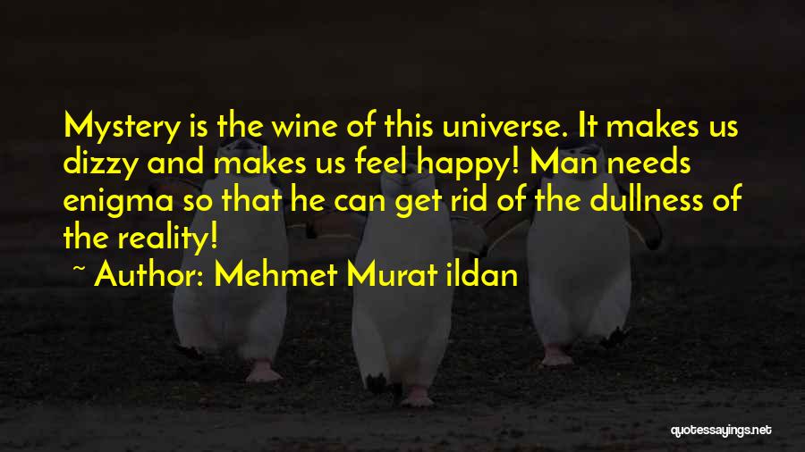 Mystery Man Quotes By Mehmet Murat Ildan