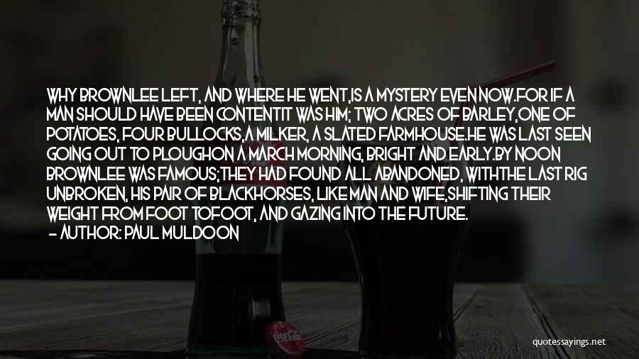 Mystery Man Quotes By Paul Muldoon