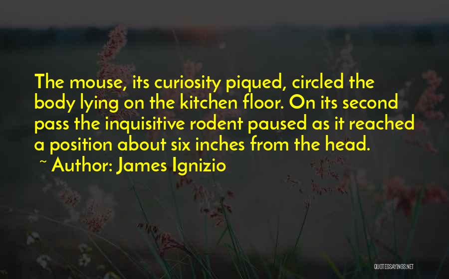 Mystery Novels Quotes By James Ignizio