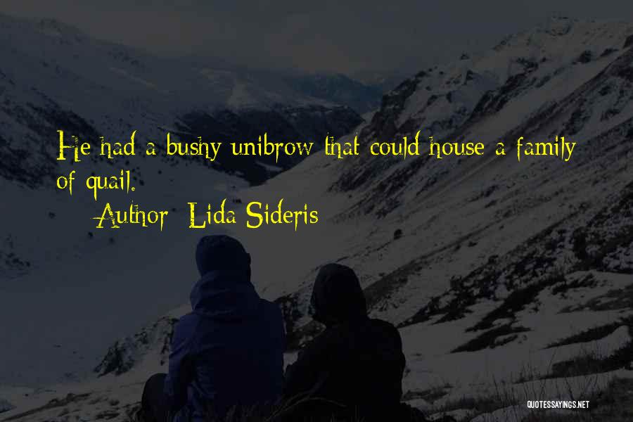 Mystery Novels Quotes By Lida Sideris