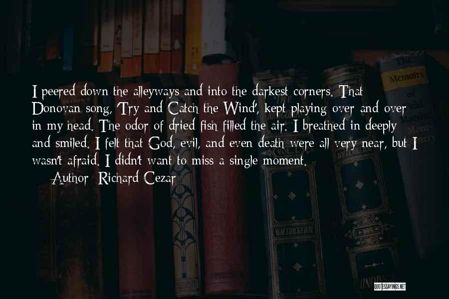 Mystery Novels Quotes By Richard Cezar