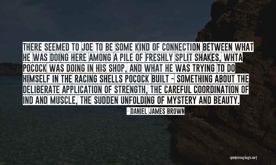 Mystery Of Beauty Quotes By Daniel James Brown Mystery Of Beauty Quotes By Daniel James Brown