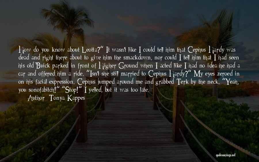 Mystery Of Eyes Quotes By Tonya Kappes