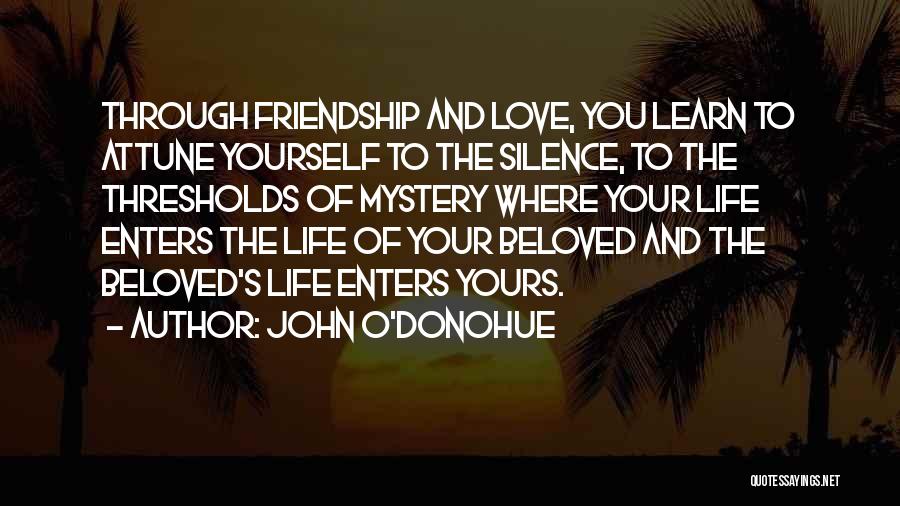 Mystery Of Friendship Quotes By John O'Donohue