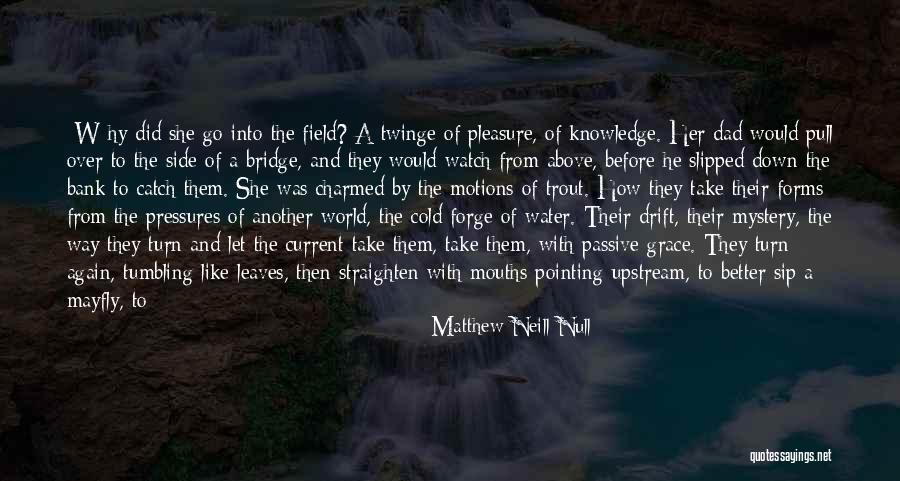 Mystery Of Nature Quotes By Matthew Neill Null