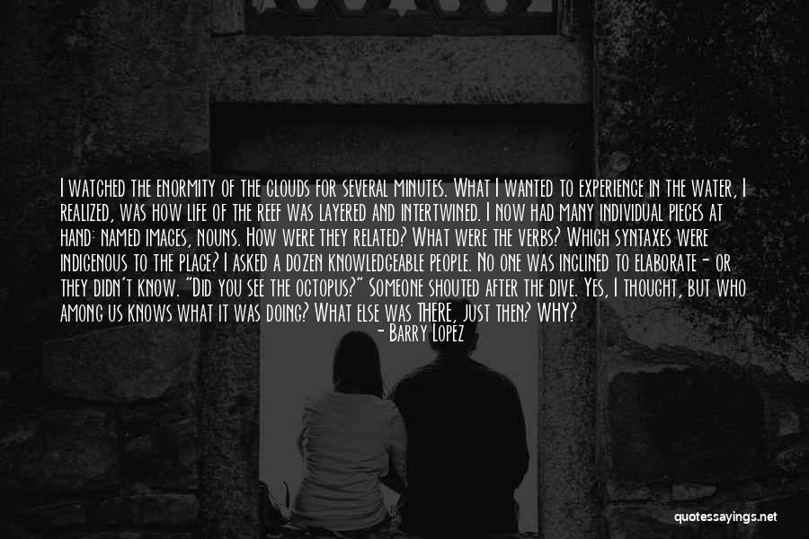 Mystery Of The Ocean Quotes By Barry Lopez Mystery Of The Ocean Quotes By Barry Lopez