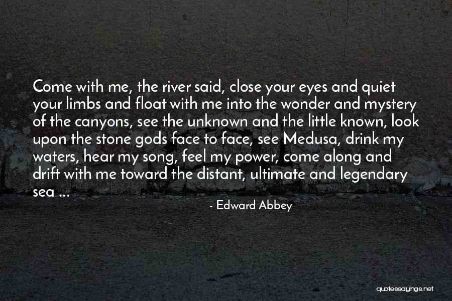 Mystery Of The Sea Quotes By Edward Abbey