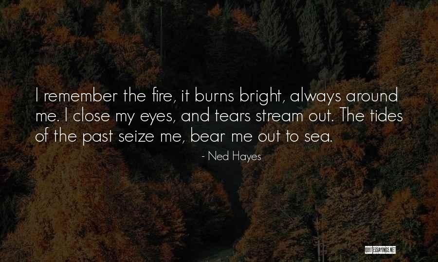 Mystery Of The Sea Quotes By Ned Hayes Mystery Of The Sea Quotes By Ned Hayes