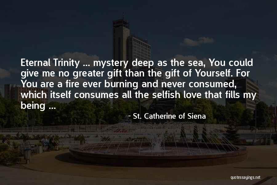 Mystery Of The Sea Quotes By St. Catherine Of Siena Mystery Of The Sea Quotes By St. Catherine Of Siena