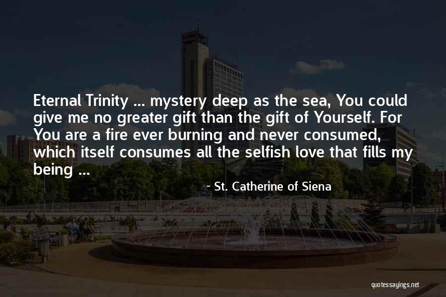 Mystery Of The Sea Quotes By St. Catherine Of Siena