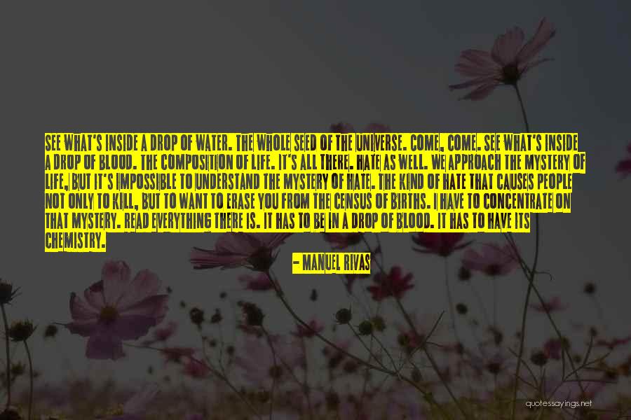 Mystery Of The Universe Quotes By Manuel Rivas Mystery Of The Universe Quotes By Manuel Rivas