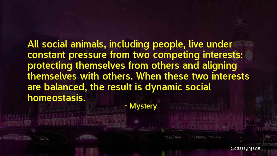 Mystery Quotes 429820 Mystery Quotes 429820