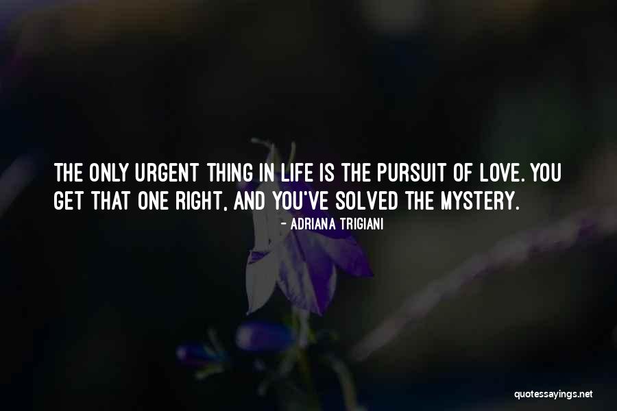 Mystery Solved Quotes By Adriana Trigiani Mystery Solved Quotes By Adriana Trigiani