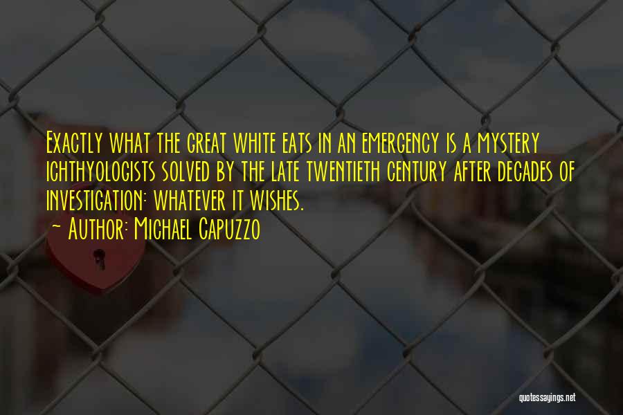 Mystery Solved Quotes By Michael Capuzzo