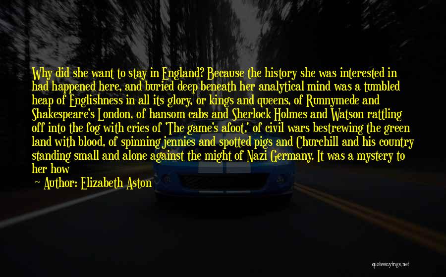Mystery The Game Quotes By Elizabeth Aston