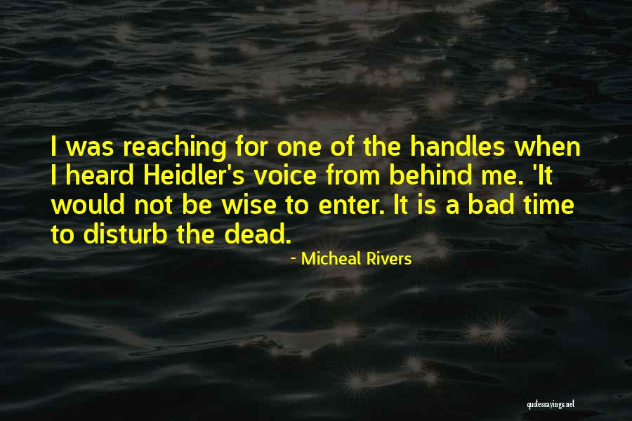 Mystery Thrillers Quotes By Micheal Rivers