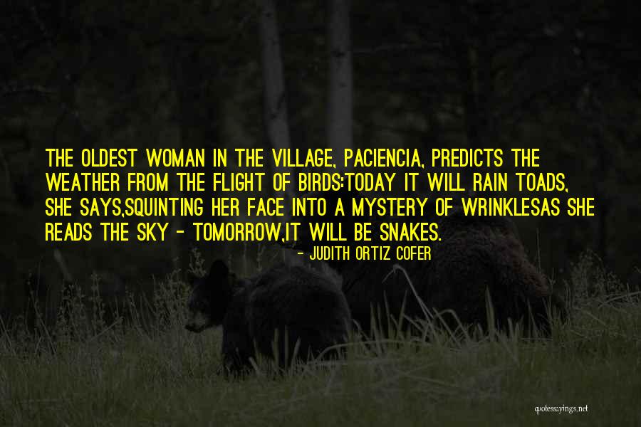 Mystery Woman Quotes By Judith Ortiz Cofer Mystery Woman Quotes By Judith Ortiz Cofer