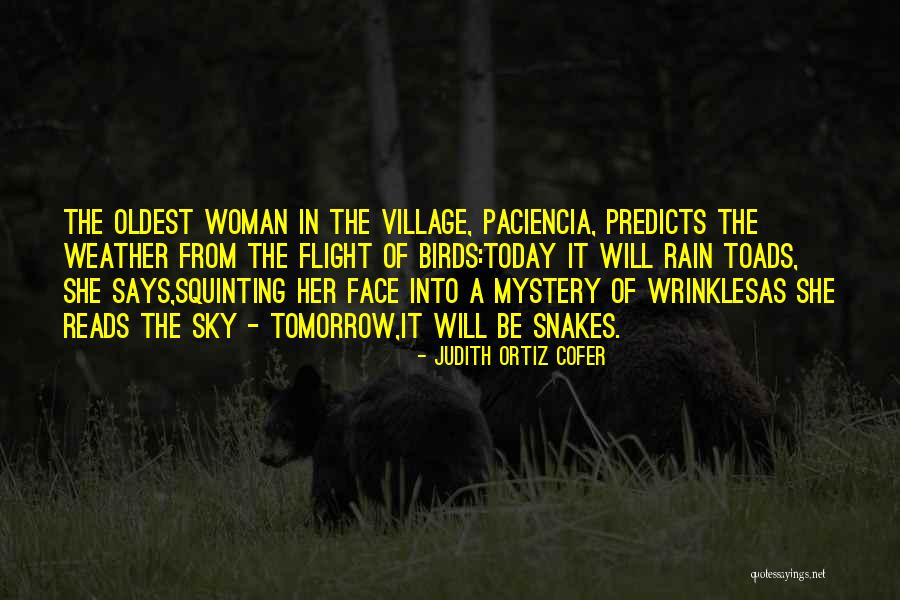 Mystery Woman Quotes By Judith Ortiz Cofer