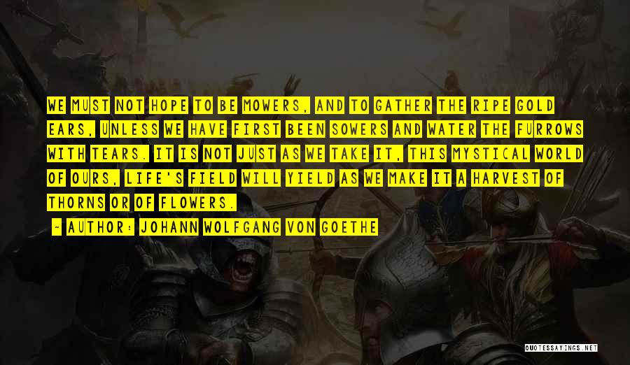 Mystical Quotes By Johann Wolfgang Von Goethe