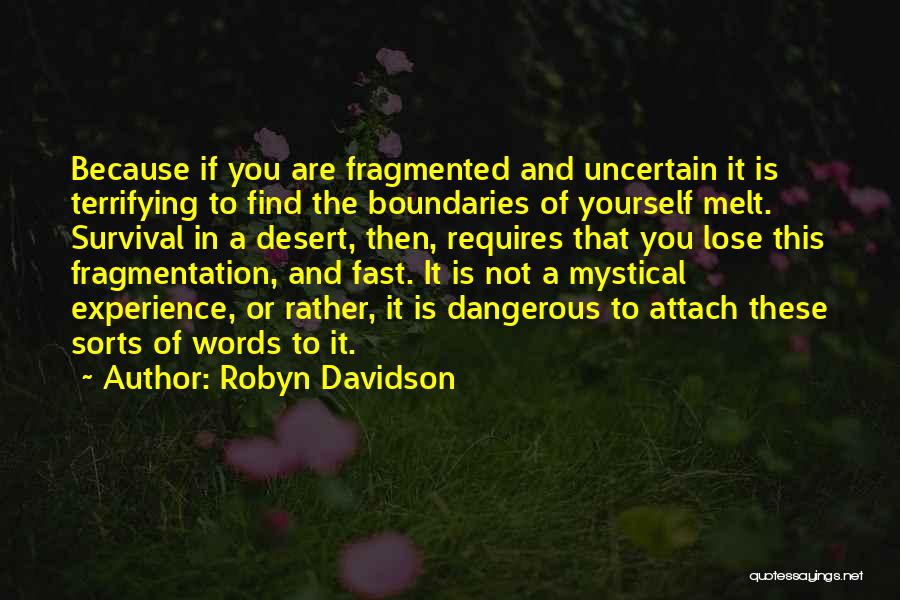 Mystical Quotes By Robyn Davidson