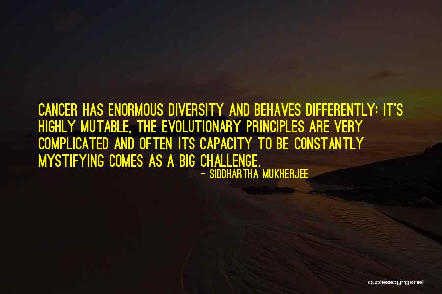 Mystifying Quotes By Siddhartha Mukherjee Mystifying Quotes By Siddhartha Mukherjee