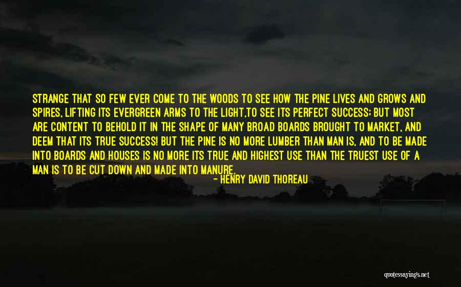 Mytakeosin Quotes By Henry David Thoreau Mytakeosin Quotes By Henry David Thoreau