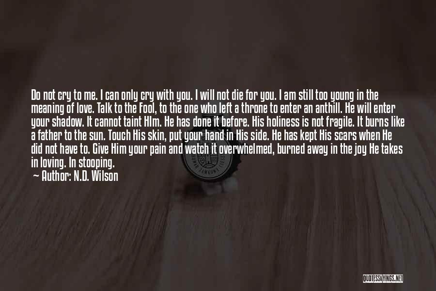 N.D. Wilson Quotes 930113