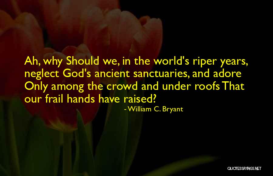 N Iz Gotz Minez White Iroc Z Quotes By William C. Bryant N Iz Gotz Minez White Iroc Z Quotes By William C. Bryant