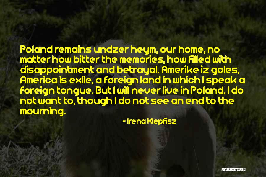 N Iz The By Quotes By Irena Klepfisz N Iz The By Quotes By Irena Klepfisz