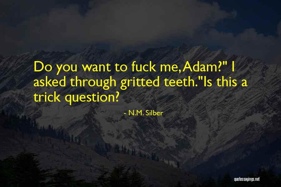 N.M. Silber Quotes 1523441 N.M. Silber Quotes 1523441