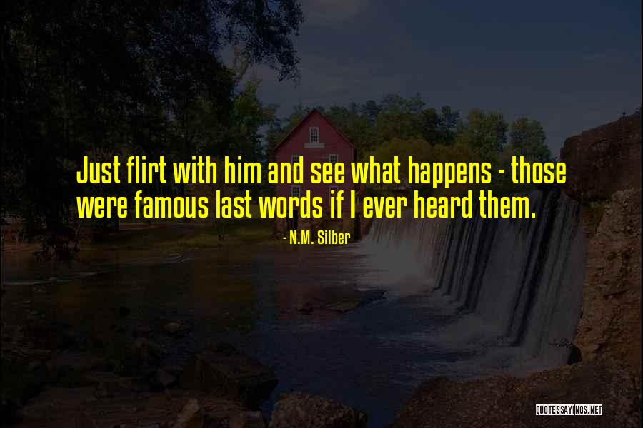 N.M. Silber Quotes 1673685 N.M. Silber Quotes 1673685