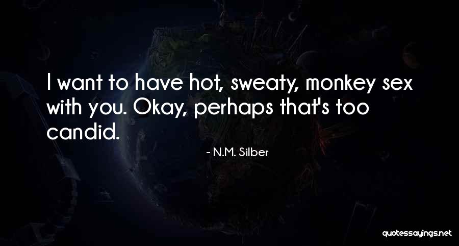 N.M. Silber Quotes 600590 N.M. Silber Quotes 600590
