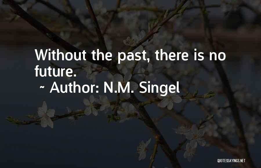 N.M. Singel Quotes 205765