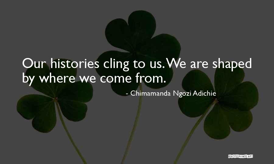 N Met Magyar Ford T Quotes By Chimamanda Ngozi Adichie