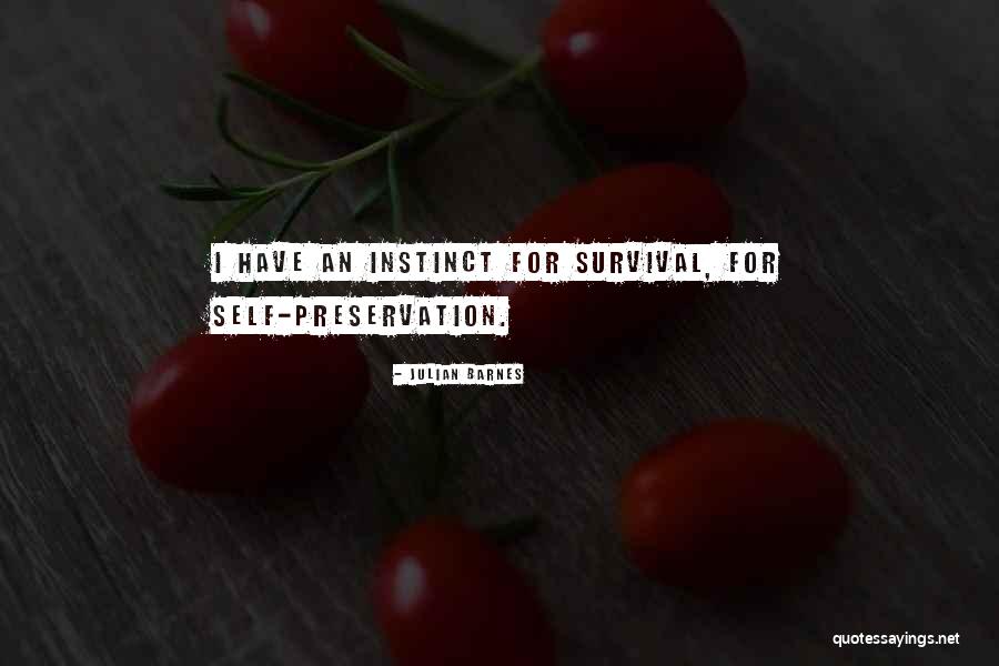 N Rburgring Crashes Quotes By Julian Barnes N Rburgring Crashes Quotes By Julian Barnes