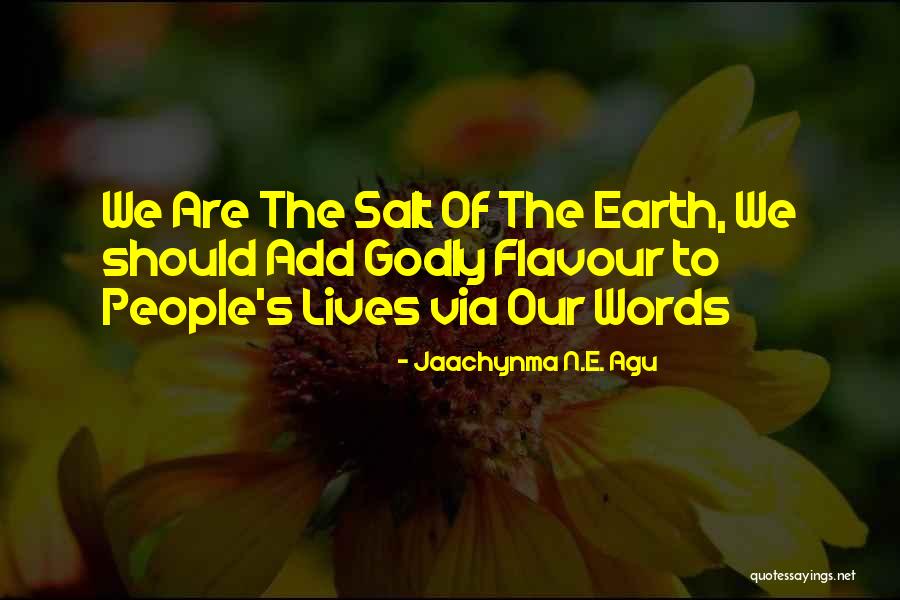 N.s.krishnan Quotes By Jaachynma N.E. Agu