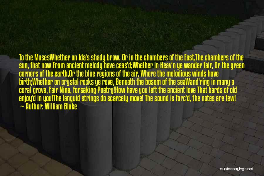 N.s.krishnan Quotes By William Blake
