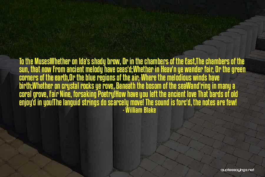 N.s.krishnan Quotes By William Blake