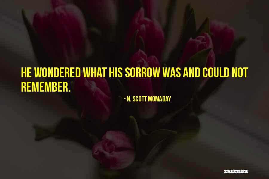 N. Scott Momaday Quotes 639352