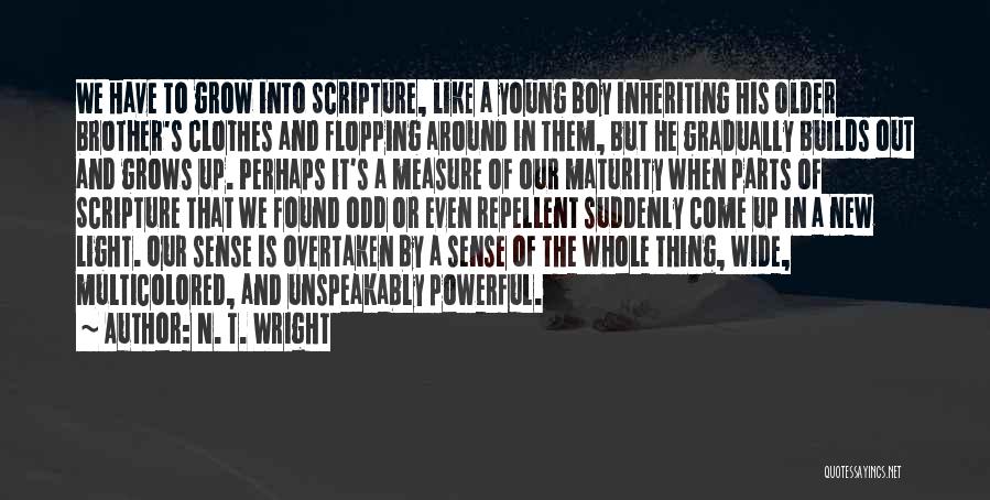 N. T. Wright Quotes 1547208