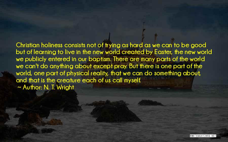 N. T. Wright Quotes 688295