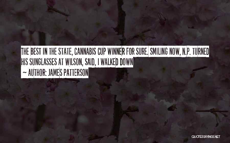 N.w.a Best Quotes By James Patterson