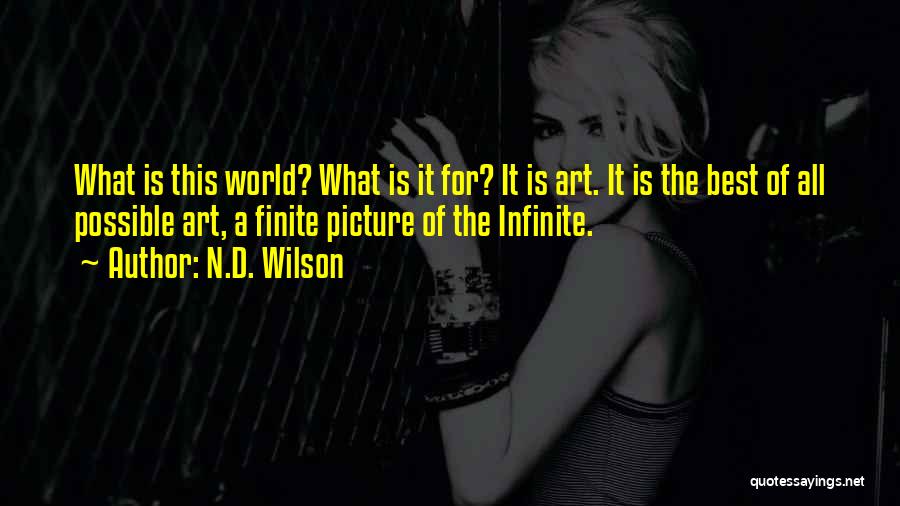 N.w.a Best Quotes By N.D. Wilson