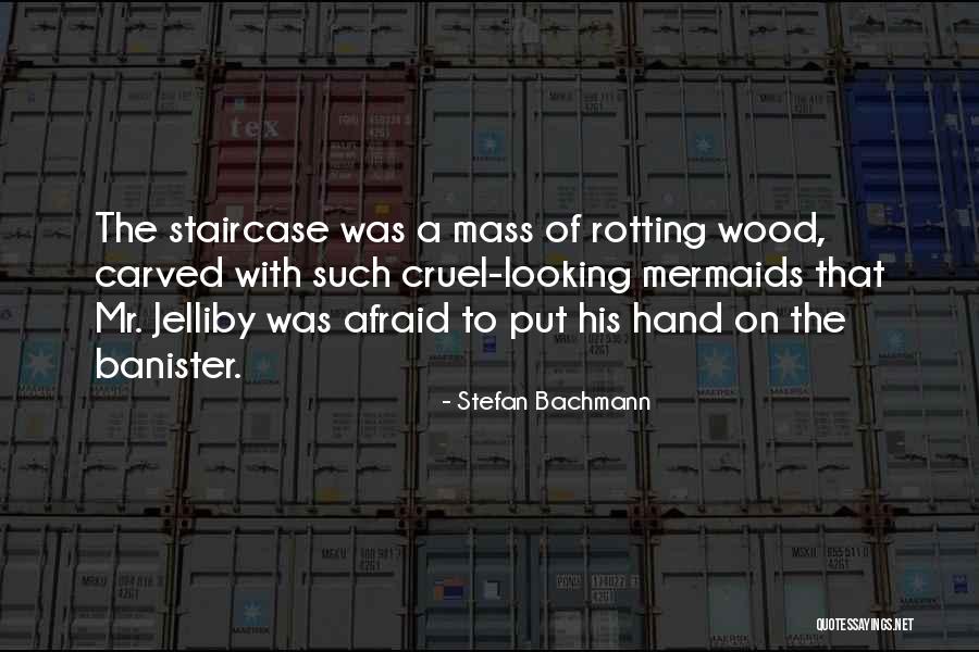 N340qs Quotes By Stefan Bachmann N340qs Quotes By Stefan Bachmann