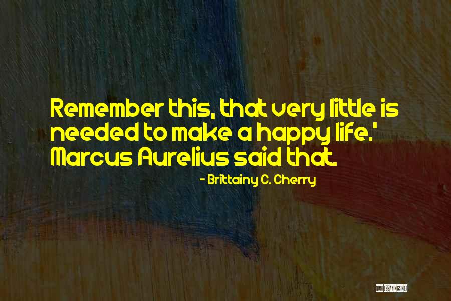 Na Meetings Quotes By Brittainy C. Cherry Na Meetings Quotes By Brittainy C. Cherry