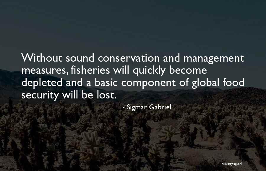 Naao Austin Quotes By Sigmar Gabriel Naao Austin Quotes By Sigmar Gabriel